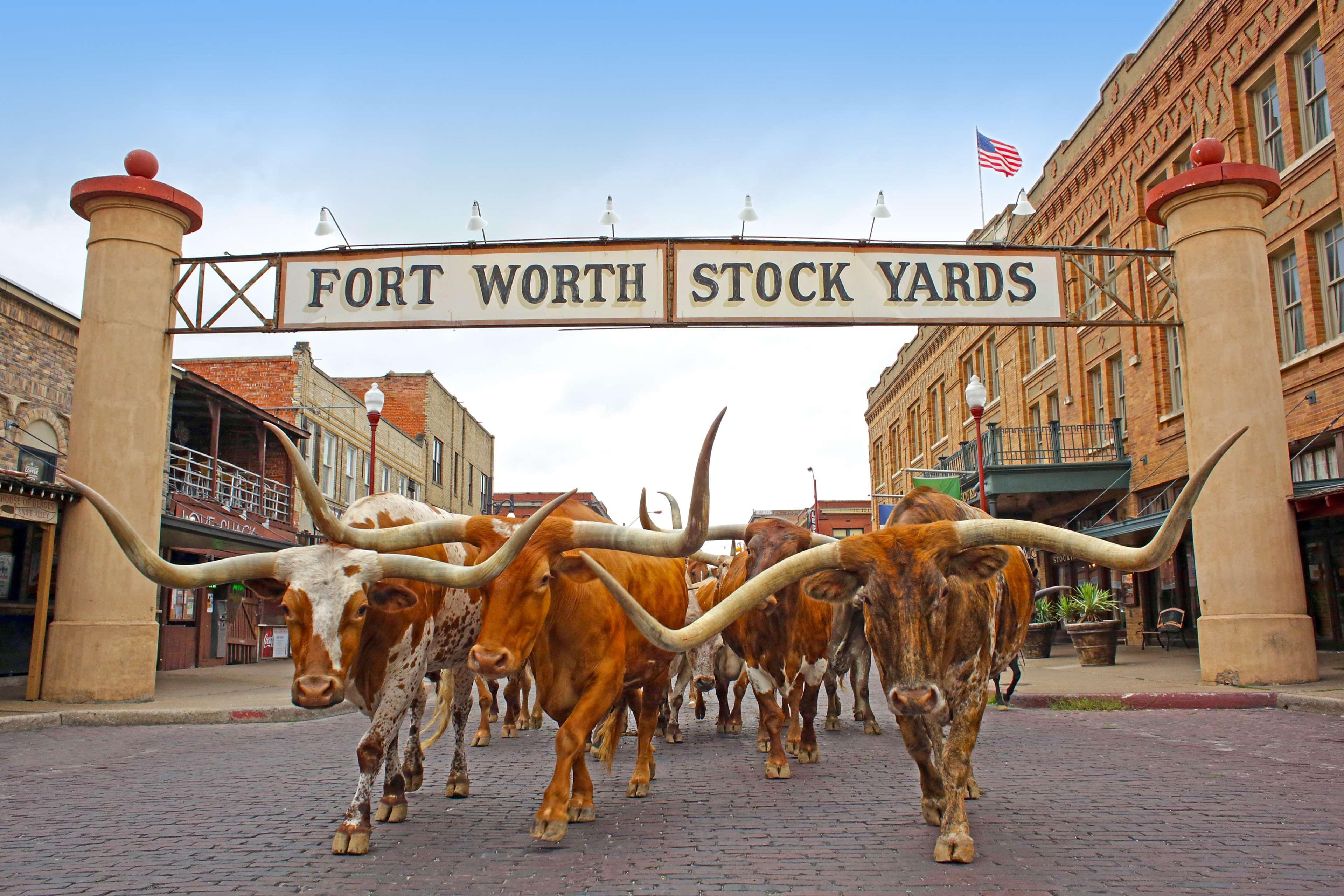 Radisson Hotel Fort Worth North-Fossil Creek Екстер'єр фото